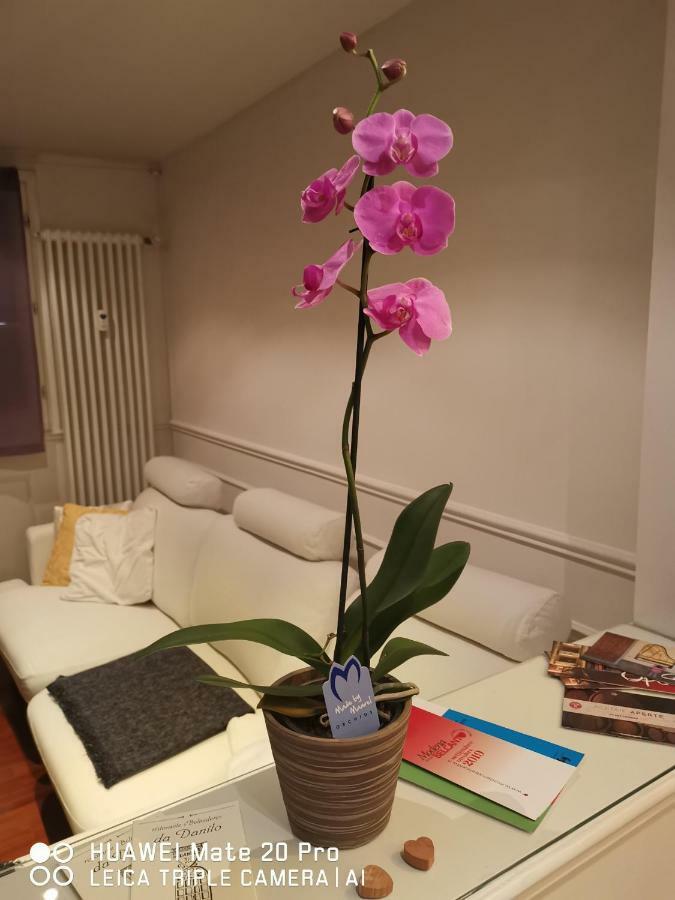 Casa Dolce Casa Apartment Modena